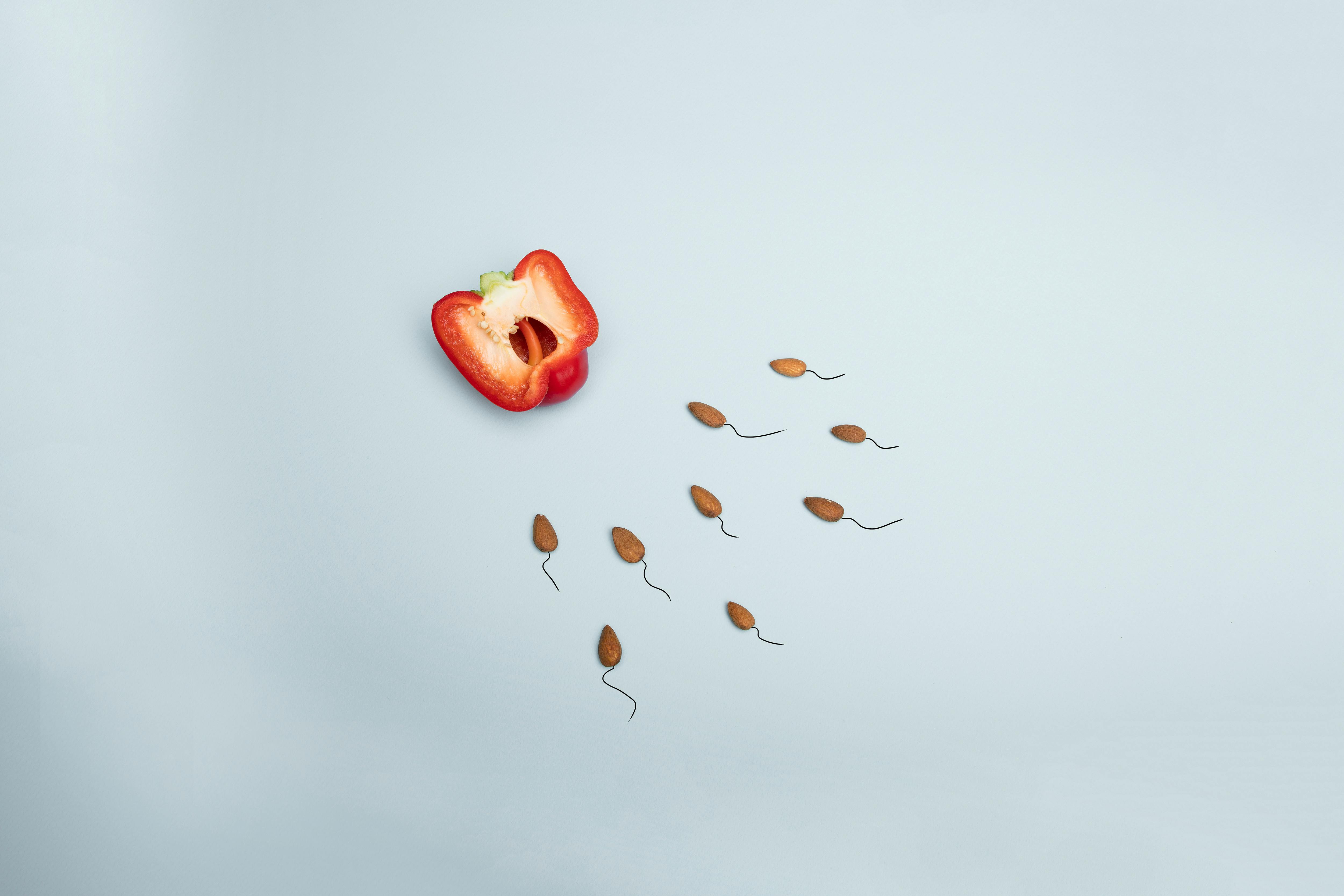 Carnivore Diet and PCOS Can It Help?