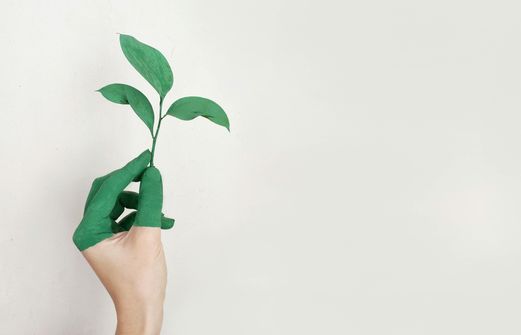 A woman practicing eco-friendly habits, such as plant-based eating and outdoor exercise, to achieve sustainable weight loss while caring for the planet.